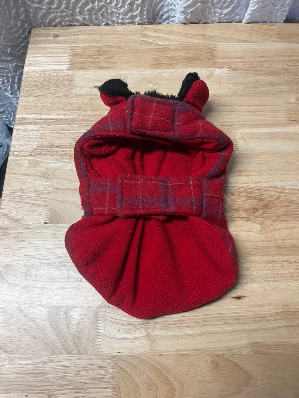 Kensington Kennel Club cozy red